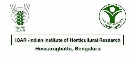 IIHR