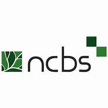 NCBS