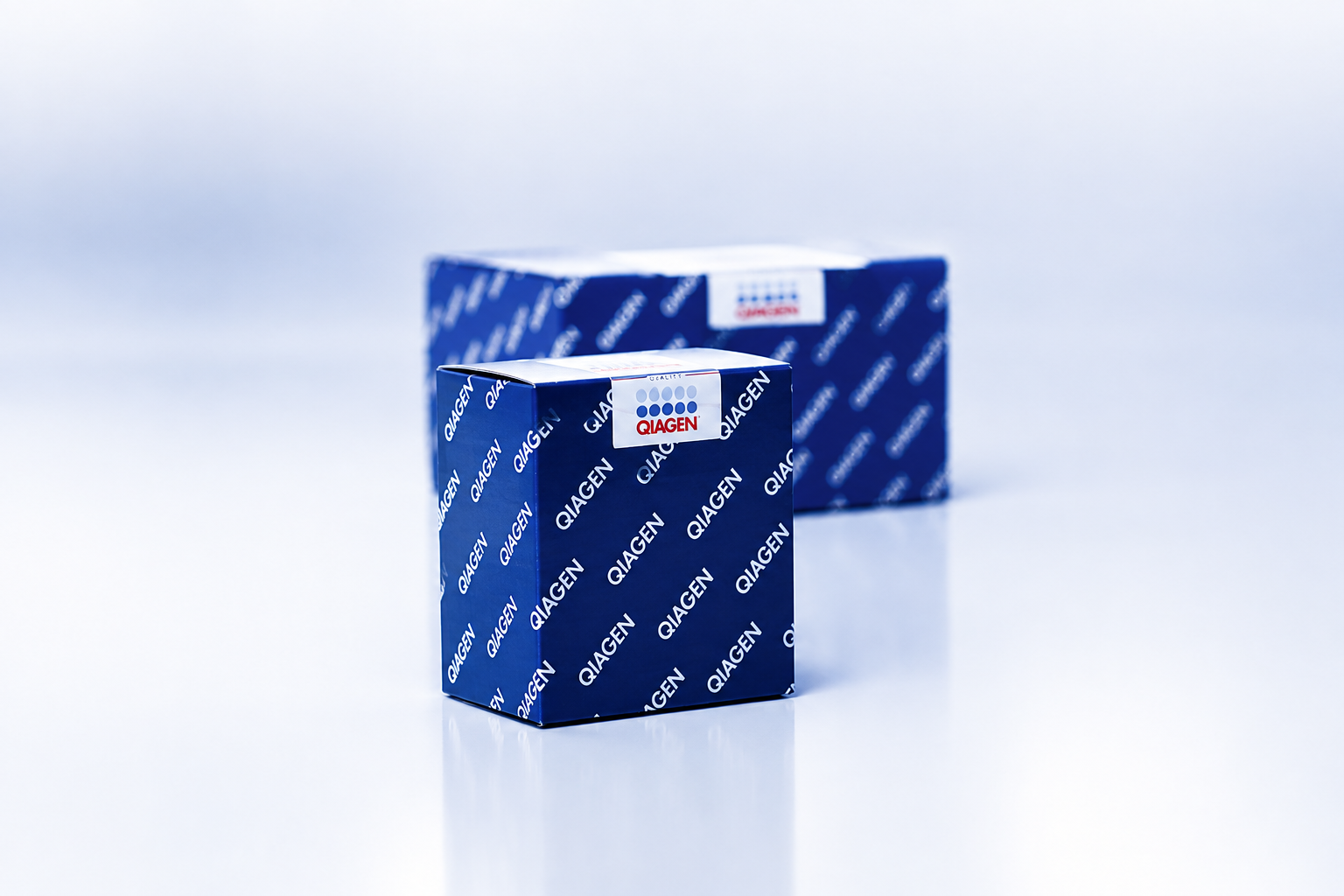 Custom LNA Oligonucleotides