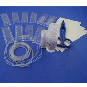 Molecular Biology Enzymes
